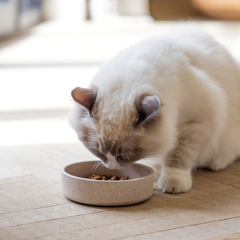 Designed by Lotte Noor Bamboo Cat Bowl 250ml, 12cm (W)