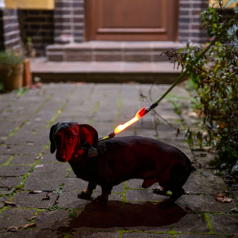 Nomad Tales Spirit USB Jelly Light Strip 18.5 x 3.5 x 1.7cm (L x W x H)