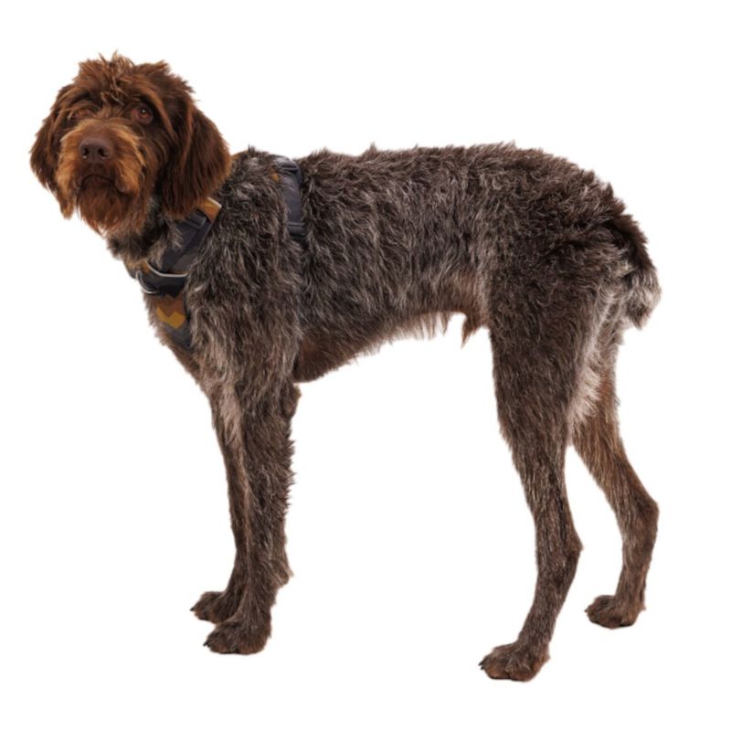 Ruffwear Front Range Dog Harness - Moonlight Mountains Size S: 56 - 69cm Chest Circumference