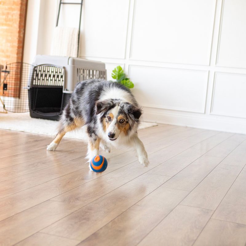 Chuckit! Ultra Ball Size S: 2 Balls, Diameter 5.1cm