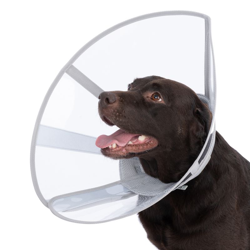 kooa Premium Protective Collar for Pets Size XS: 20 - 30 cm Neck Circumference