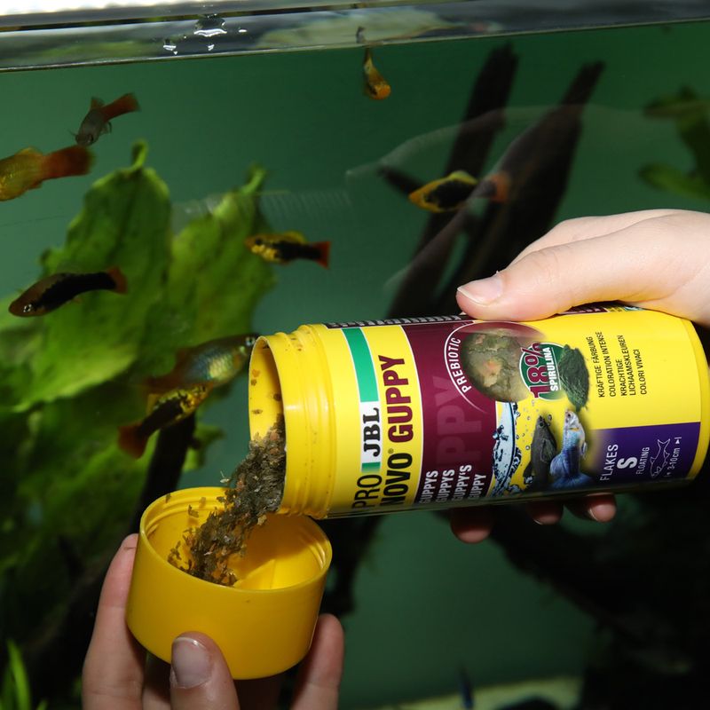 JBL ProNovo Guppy Flakes S 250ml