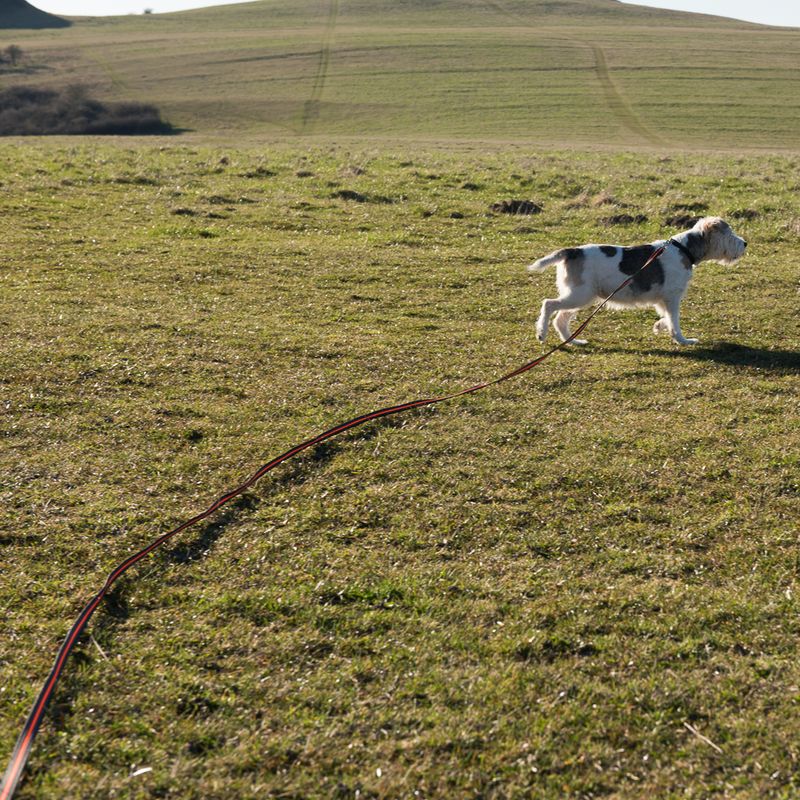 Heim Super-Grip Tracking Line 5m