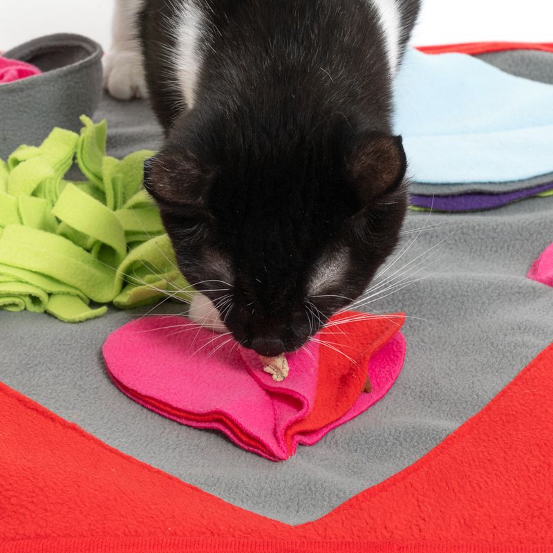 TIAKI Heart Sniffing Mat 50 x 50 cm (L x W)