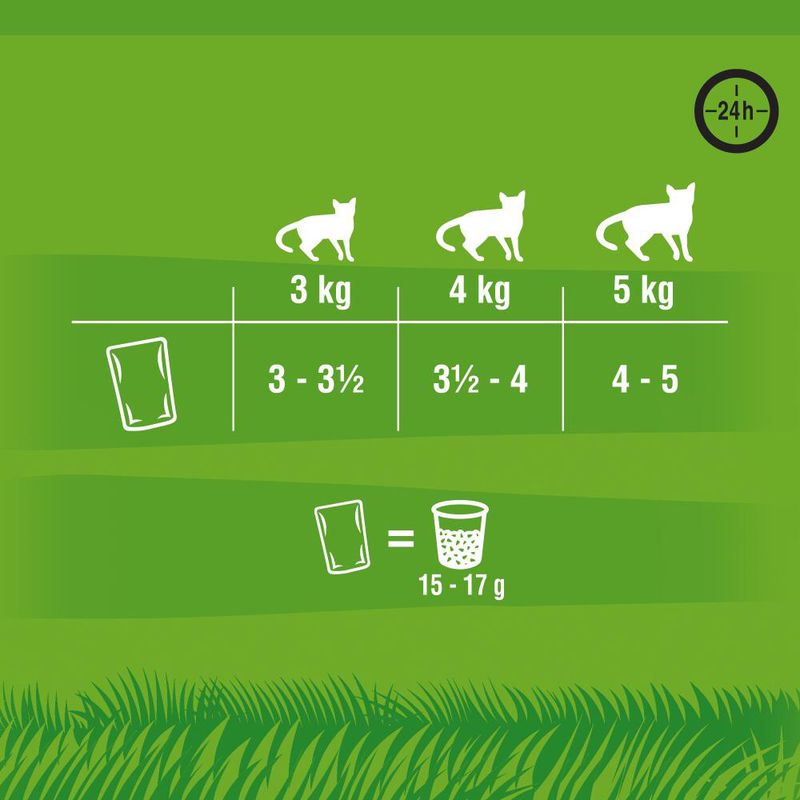 Kitekat Variety Pouches 24 x 85g Market Mix in Jelly