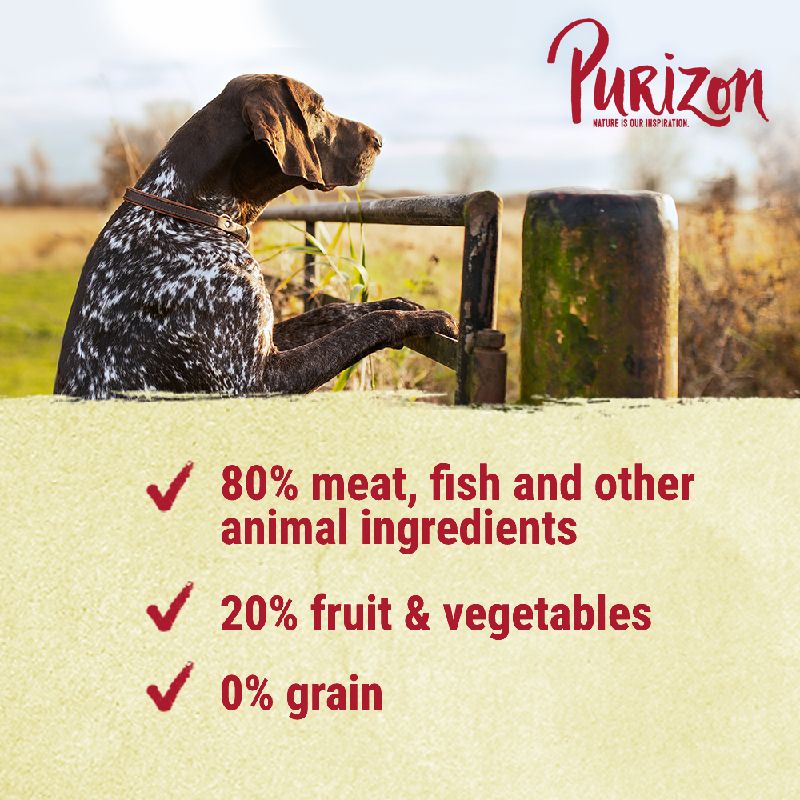 Purizon Adult Large Breed Dog – Grain-Free Chicken & Fish 12kg
