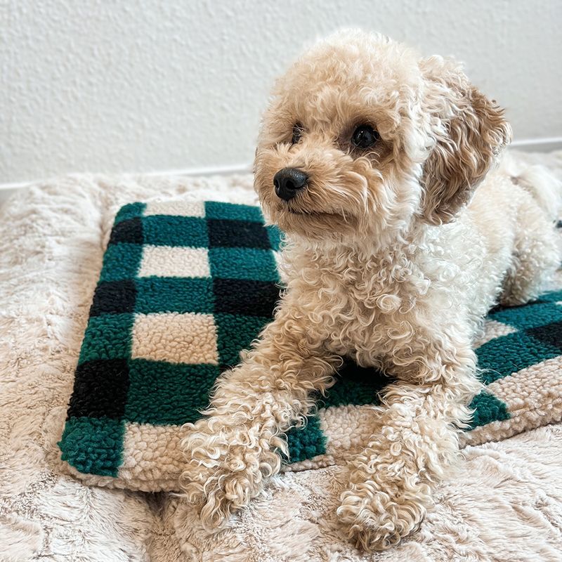 HAFENBANDE Ally Heating Mat 50 x 40 x 2.5cm (L x W x H)