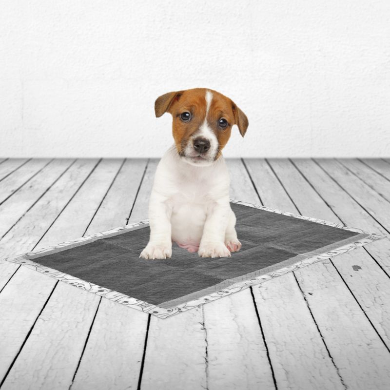 Savic Puppy Trainer Pads with Activated Charcoal Medium: 45 x 30cm, 50 Pads