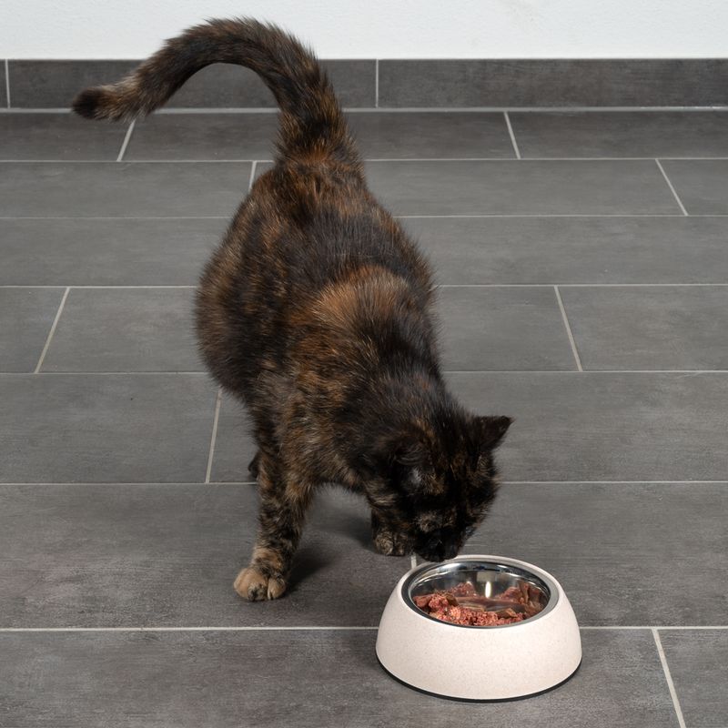 Modern Living Organic Sichuan Cat Bowl 400ml