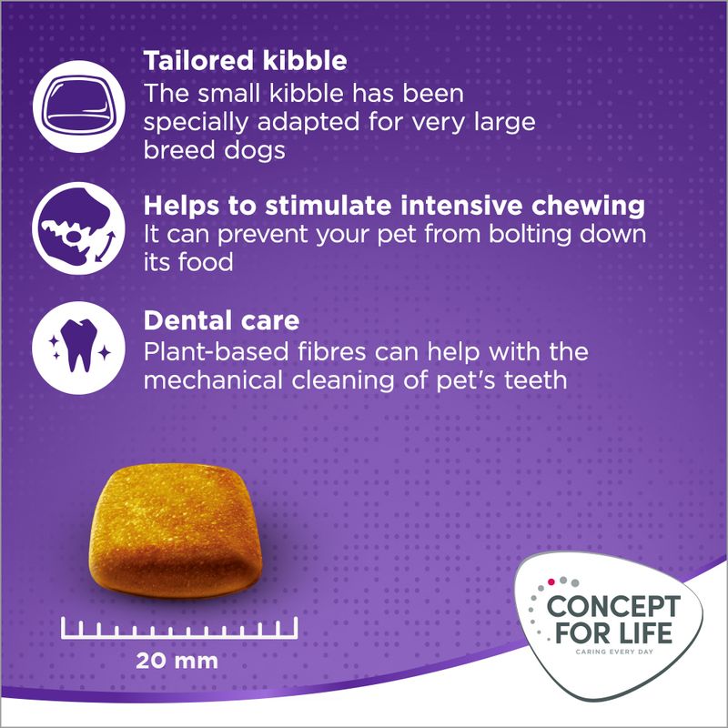 Concept for Life X-Large Adult 12kg