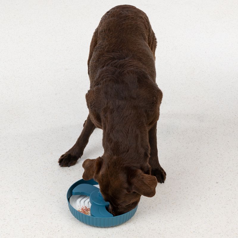 TIAKI Helice Slow Feeder 1000ml (25.5cm Diameter)