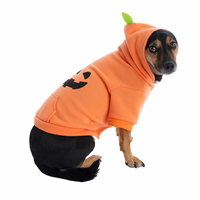 TIAKI Pumpkin Hoodie Size: S