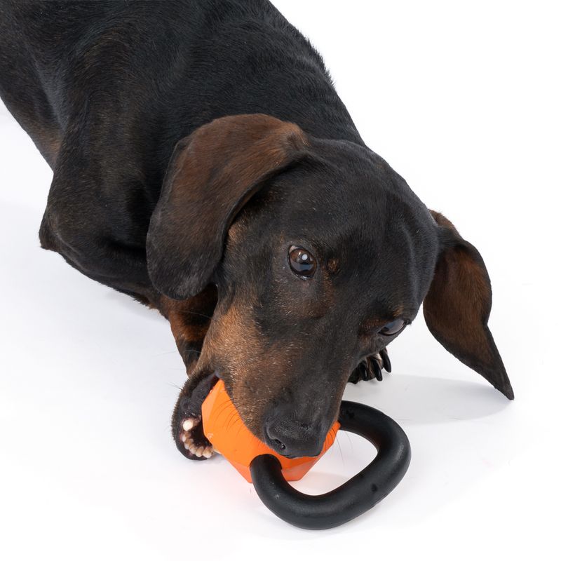 TIAKI Rubber Kettlebell Chew Toy 1 Toy