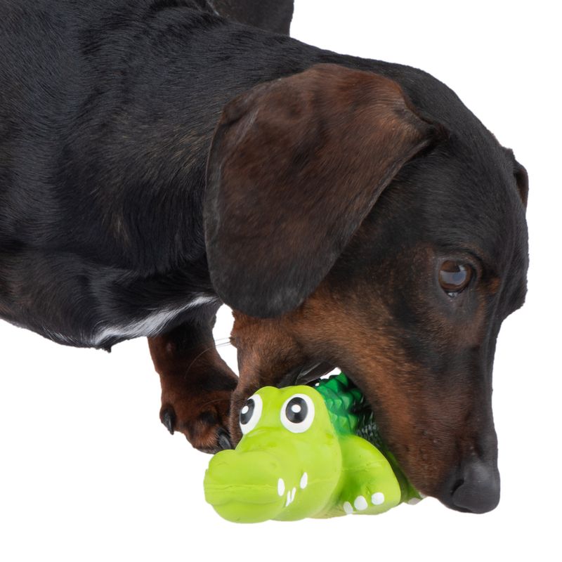 Dog Toy Latex Crocodylus approx. L 20 x W 6 x H 5 cm