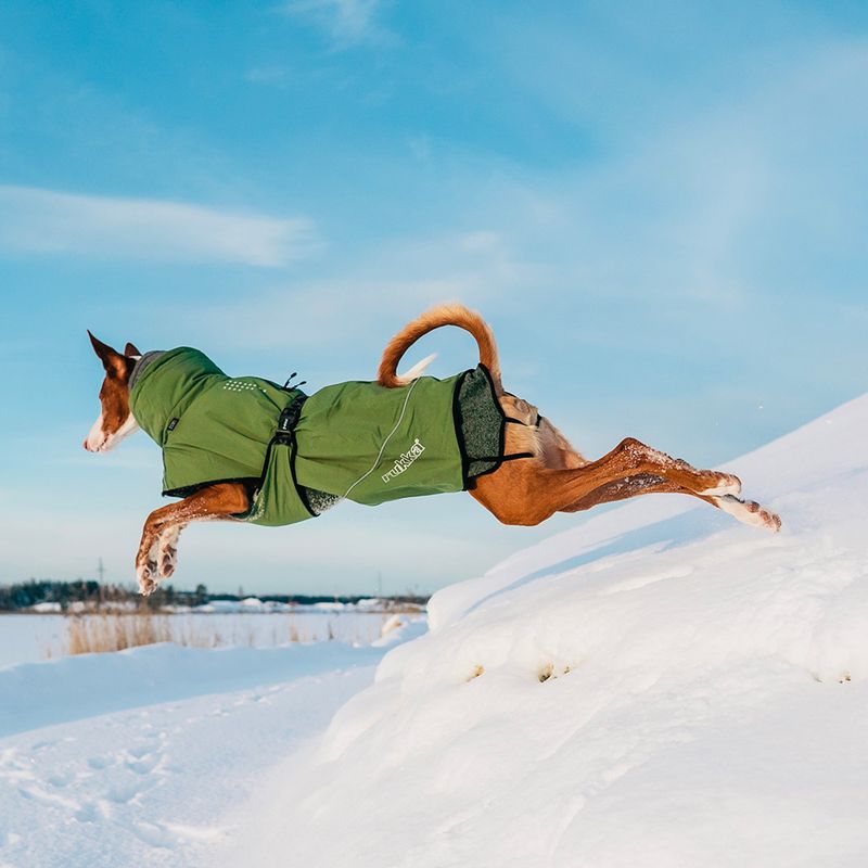 Rukka® Warmup Dog Coat - Olive approx. 80cm back length