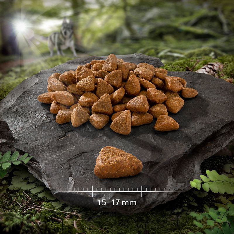 Wolf of Wilderness Adult Sensitive \