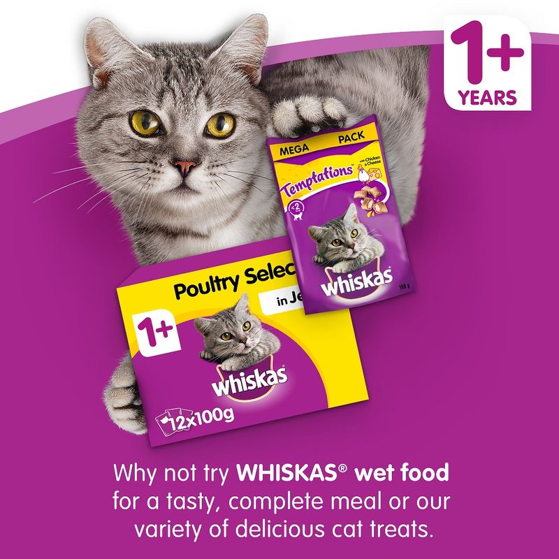 Whiskas 1+ Beef 800g