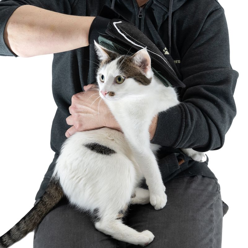 kooa Double-sided Grooming Glove 1 Glove