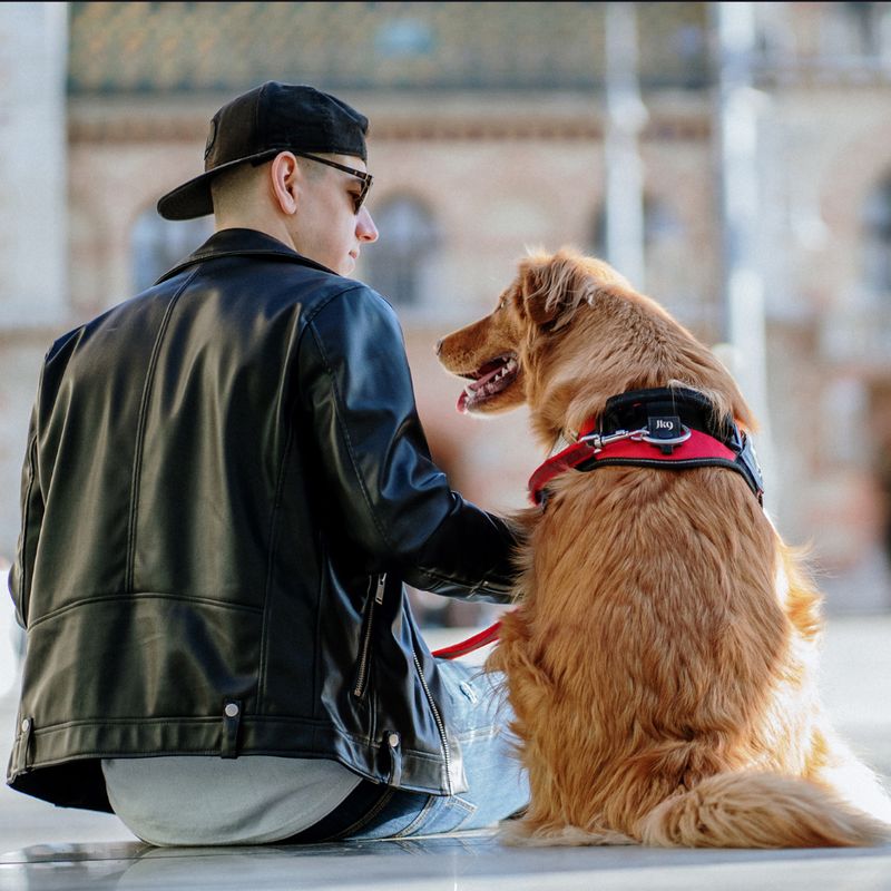 JULIUS-K9 IDC® Power Harness - Red Size S: Chest circumference 49 - 67 cm