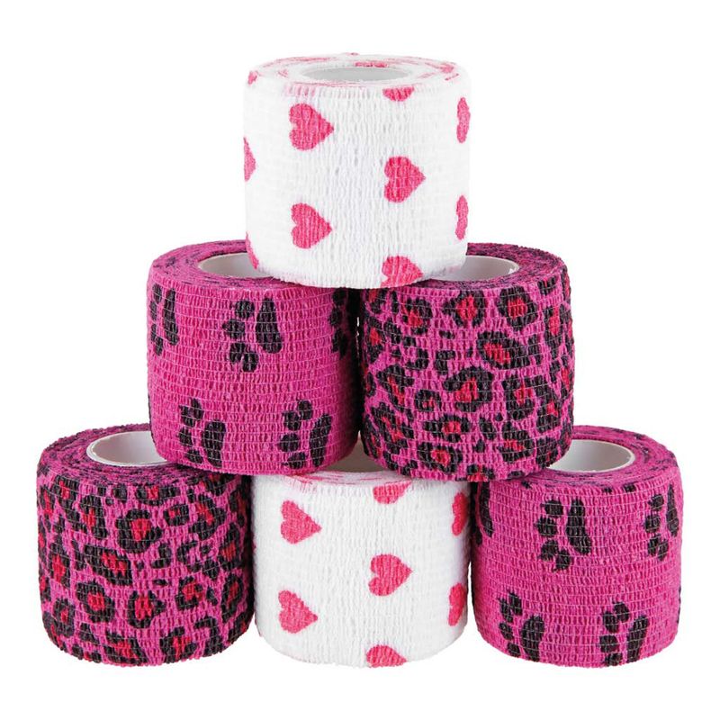PAWS & PATCH Adhesive Plasters Pirate Box, 6 Rolls