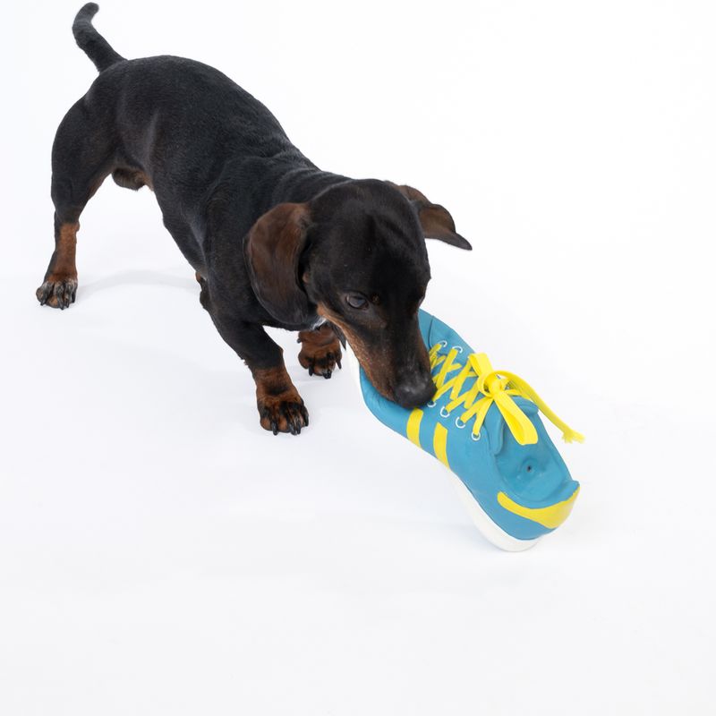 TIAKI Trainer Latex Dog Toy 23.5 x 8 x 10 cm (L x W x H)