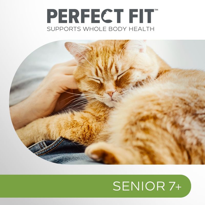 Perfect Fit Sterilised Senior 7+ - Mixed Pack Turkey with Carrot & Whitefish with Peas (52 x 85g)