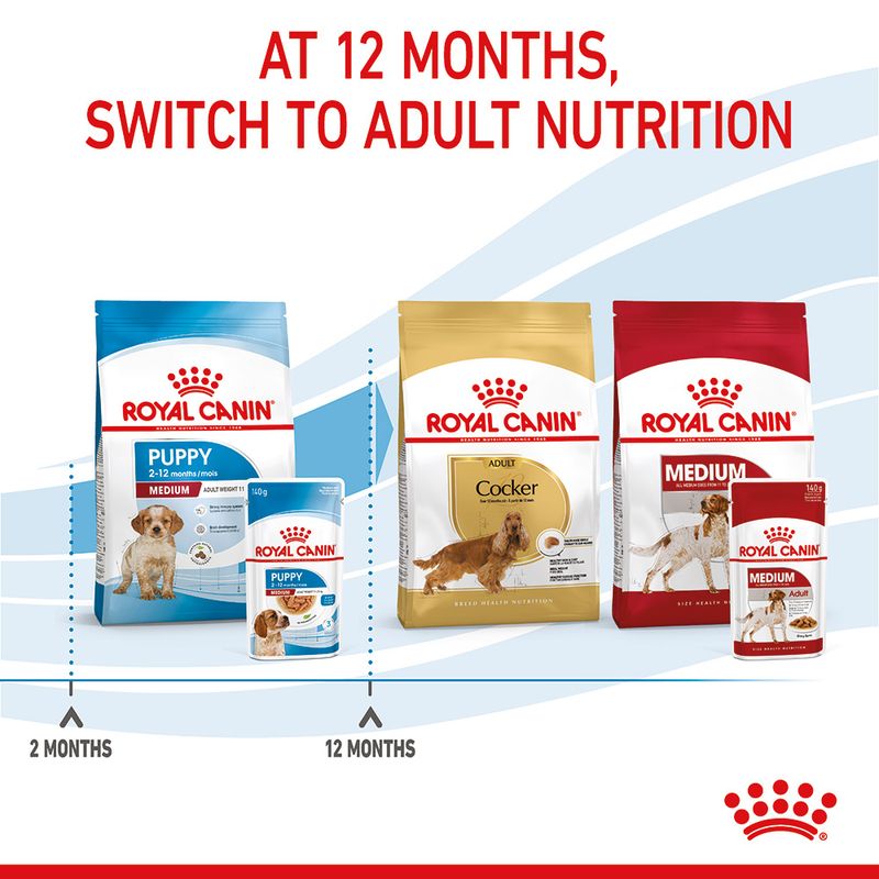 Royal Canin Medium Puppy in Gravy 10 x 140g