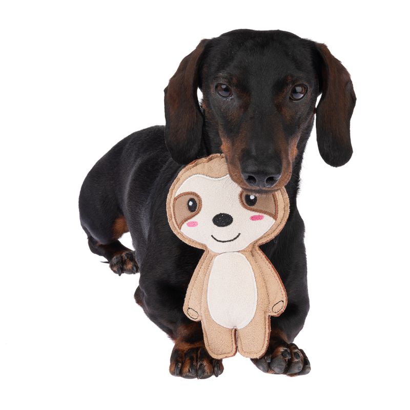 TIAKI Squeaky Sloth 17 x 10 x 4cm (L x W x H)