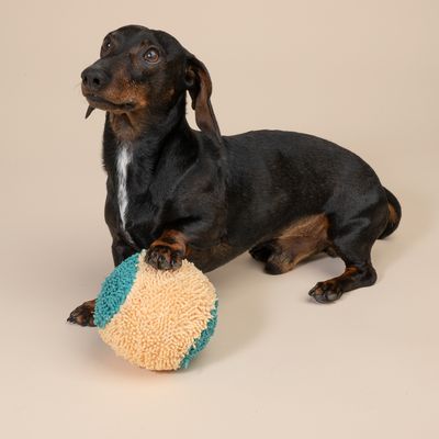 TIAKI Plush Ball Dog Toy diameter 13.2cm