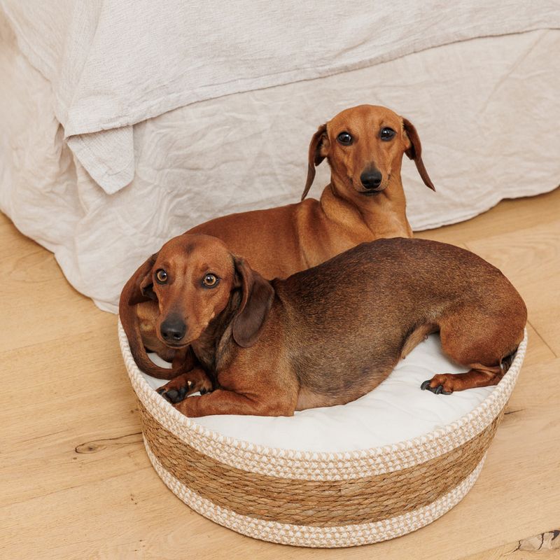 Modern Living Frontera Cuddle Bed diameter 40 x (H) 15 cm