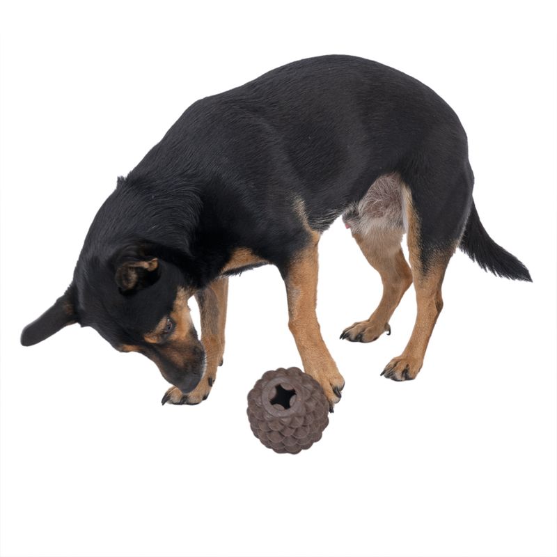 TIAKI Pine Cone Puzzle Toy 1 Toy