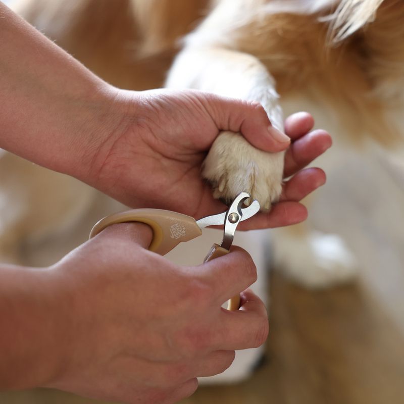 Magic Brush Claw Scissors 1 pair of scissors