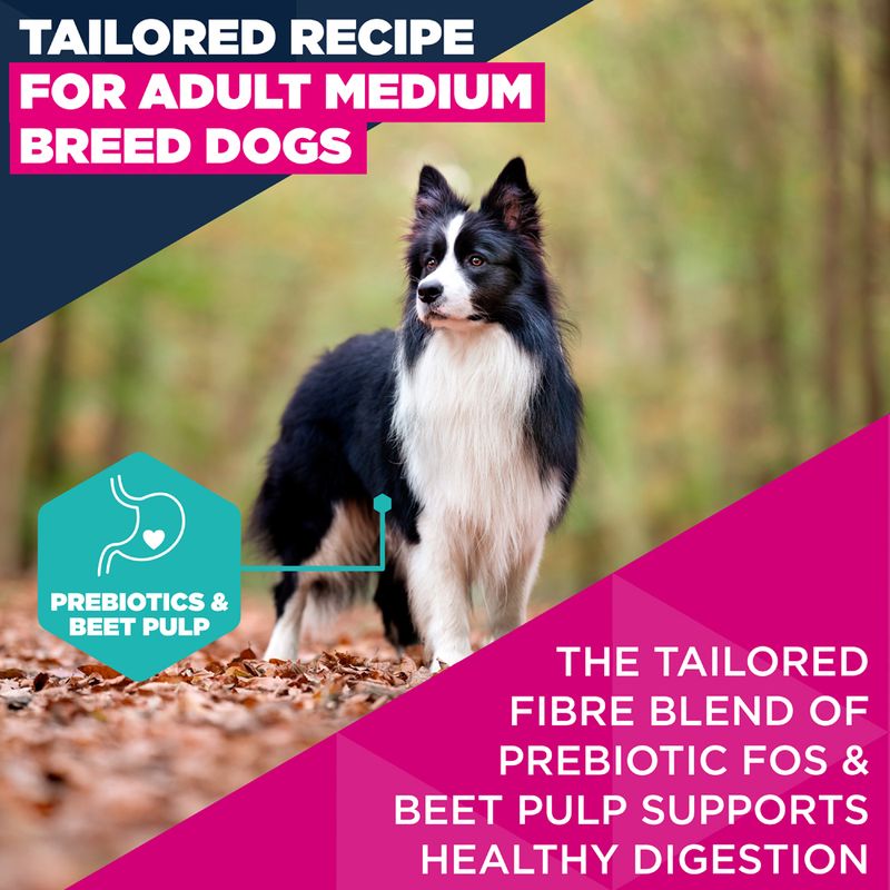 Eukanuba Premium Nutrition Adult Medium Breed Chicken 3kg