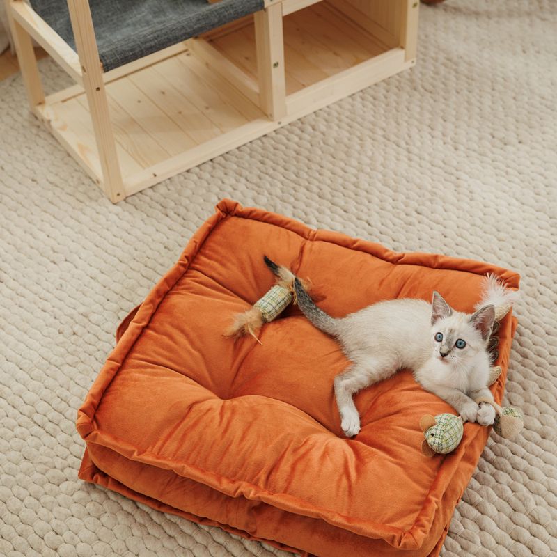 Modern Living Marrakech Cushion 50 x 50 x 10 cm (L x W x H)