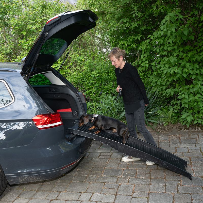 TIAKI Plastic Dog Ramp 153 x 40 x 12.5 cm (L x W x H)