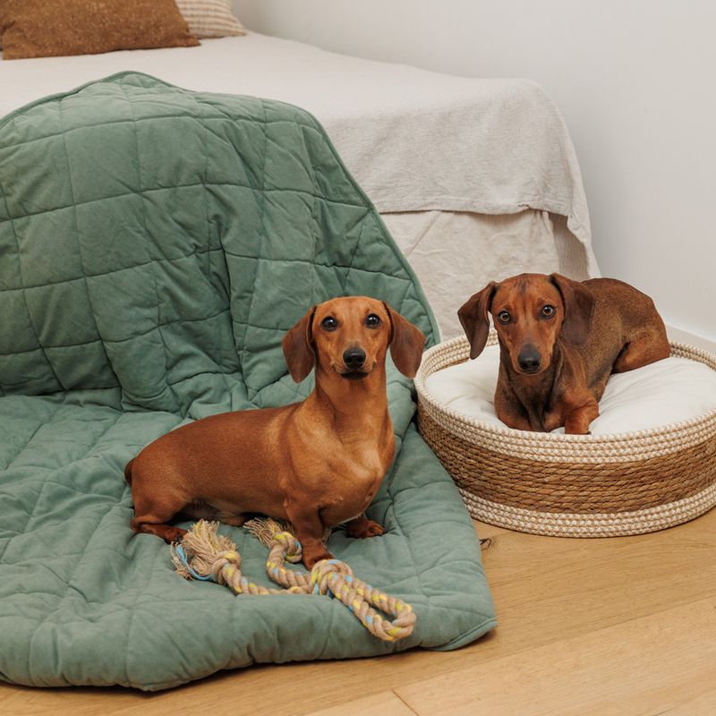 Modern Living Menorca Knot with Loop Rope Toy approx. 40 x 6 x 6 cm (L x W x H)