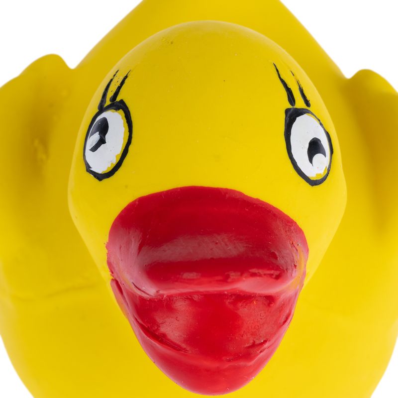 zooplus Basics Duck Latex Dog Toy 7.5 x 6 x 6 cm (L x W x H)