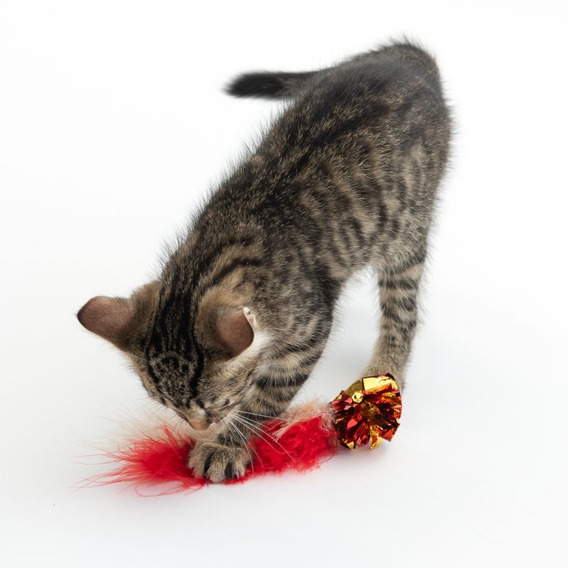 TIAKI Rustling Ball with Feathers Cat Toy 1 Ball