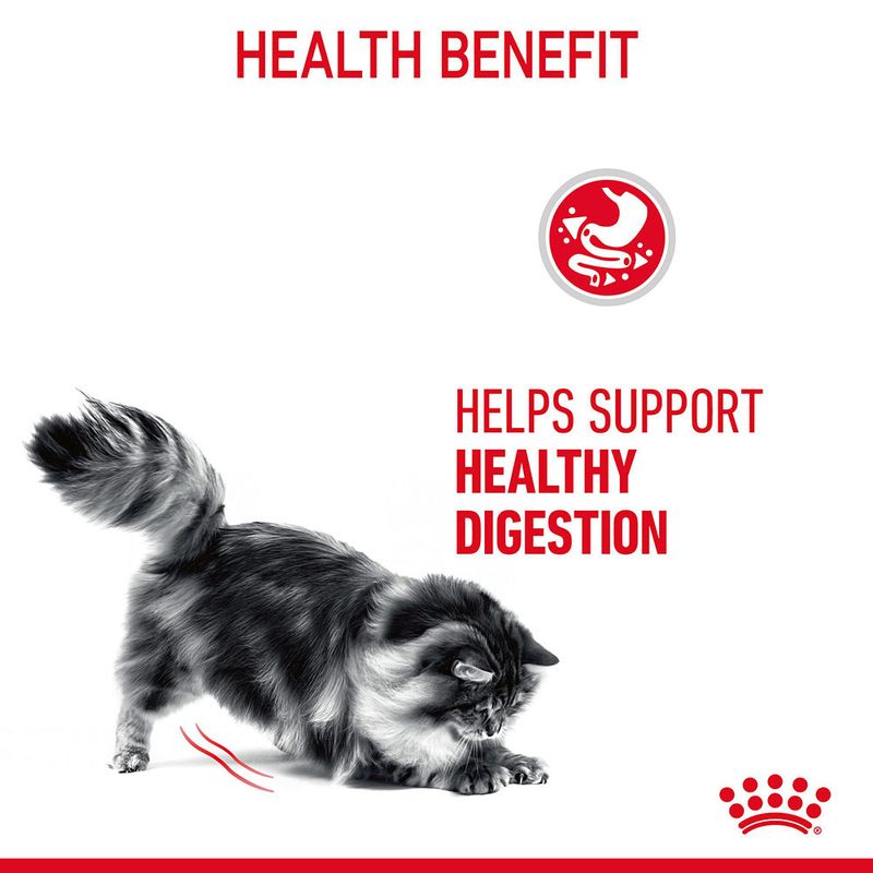 Royal Canin Digestive Care in Gravy 12 x 85g