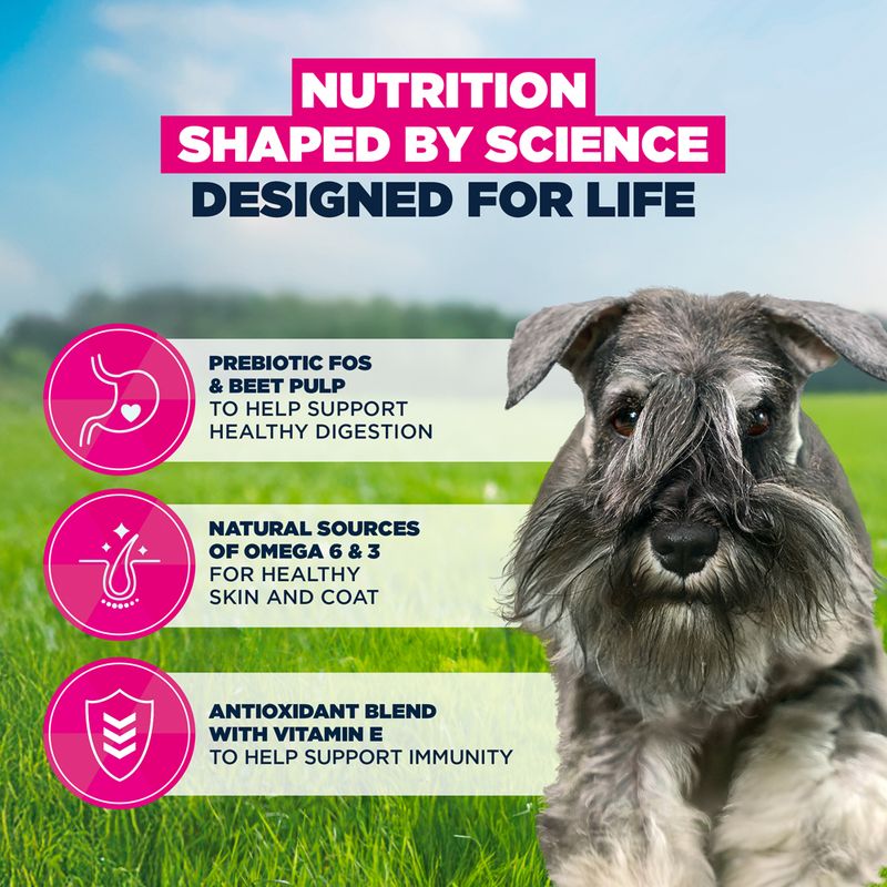 Eukanuba Premium Nutrition Adult Small Breed Chicken 3kg