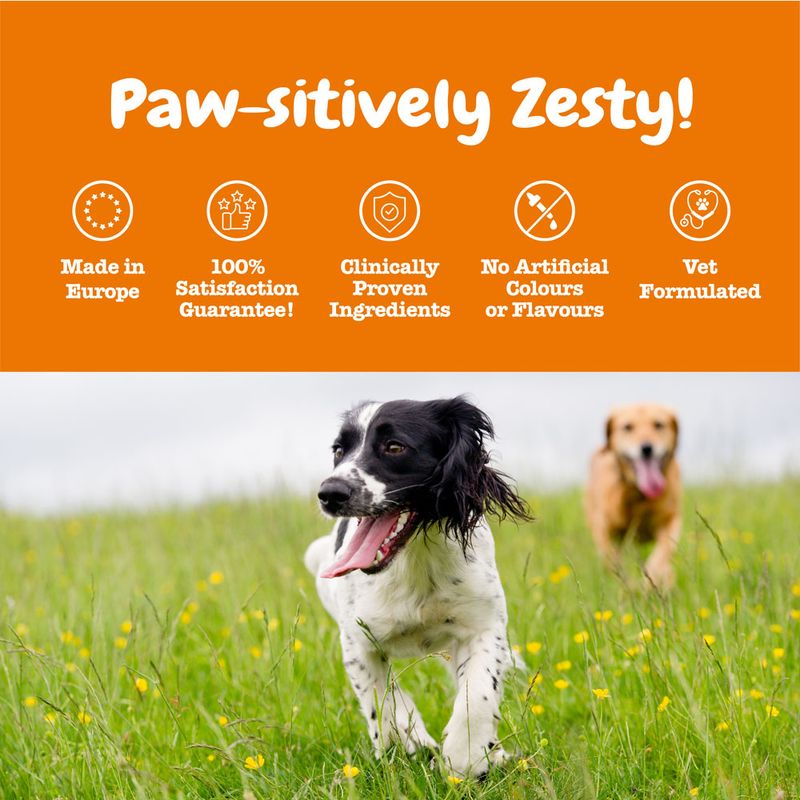 Zesty Paws Allergy & Immunity Chews - Salmon 90 Chews