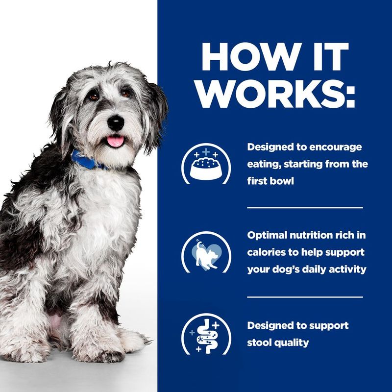 Hill's Prescription Diet On-Care with Chicken 12 x 354g