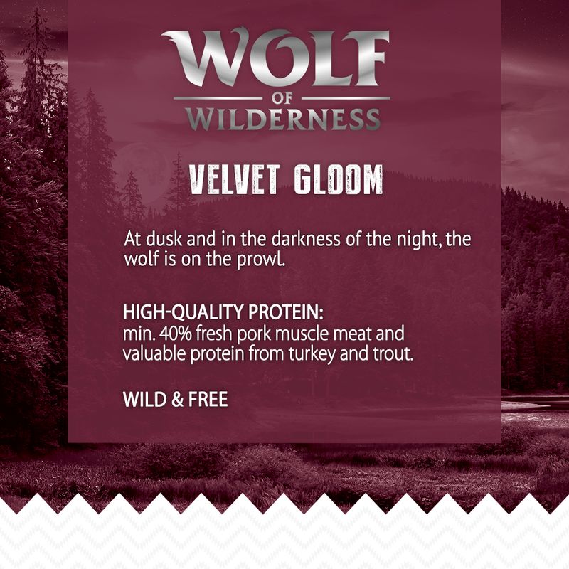 Wolf of Wilderness \