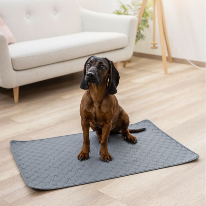 Kerbl Pet Washable Urine Pad - Grey Approx. 60 x 45cm (L x W)