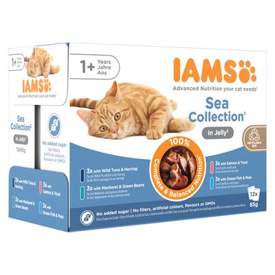 IAMS Advanced Nutrition Adult – Sea Collection Sea Collection in Jelly (12 x 85g)