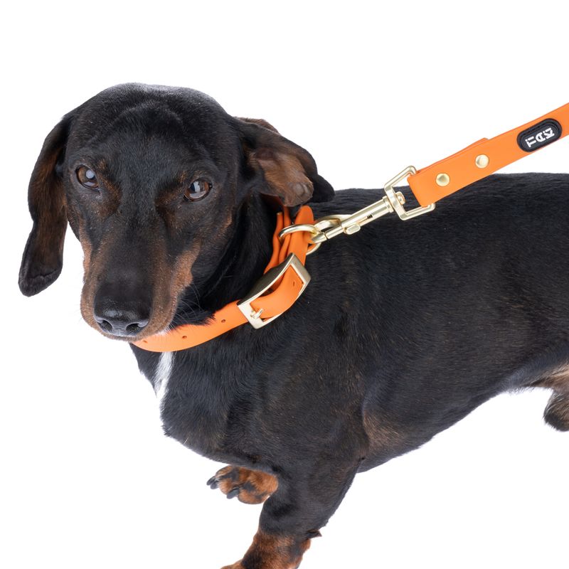 TIAKI Water-Repellent PVC Collar - Orange Size S: 24-36cm (Neck Circumference)