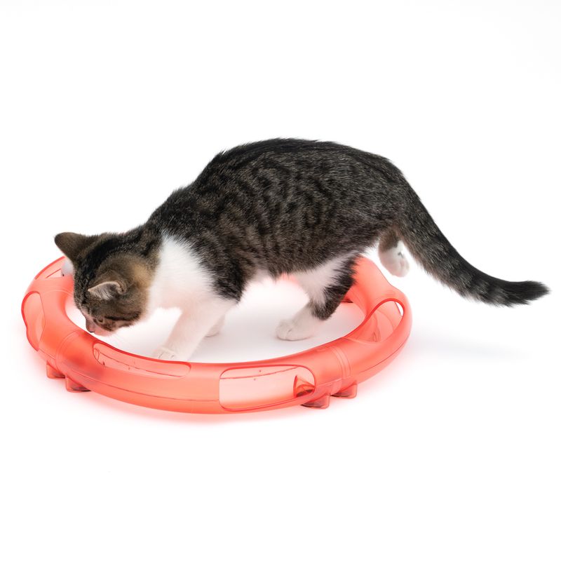 TIAKI Roundabout Ball Track for Cats 1 Toy