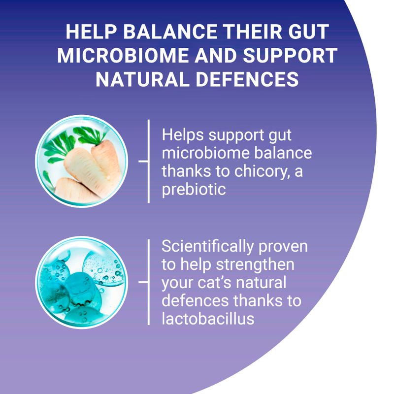 PURINA ONE Adult Salmon & Whole Grains Dry Cat Food 9.75kg