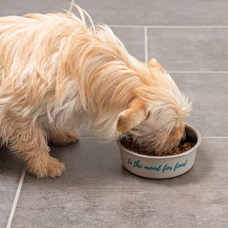 TIAKI stainless steel bowl \