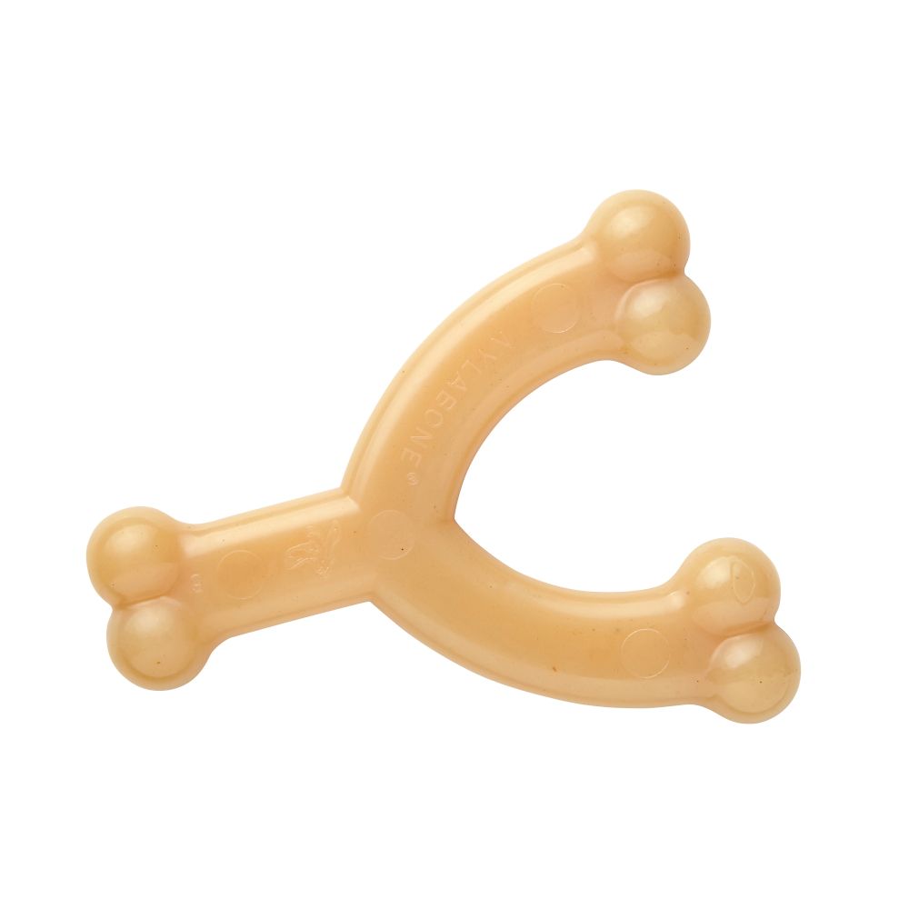 Nylabone Wishbone chew toy with chicken flavor Size M: L 15 x W x H 12 x 2.5 cm